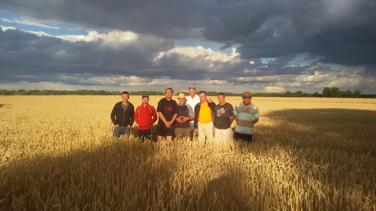 Моя Перша Стаття